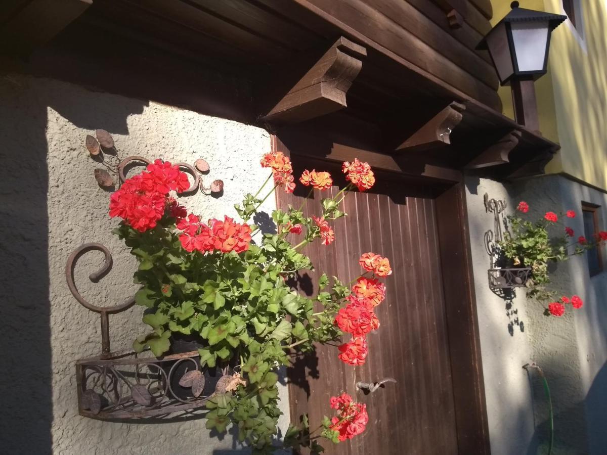 Zedlacher Apartment *